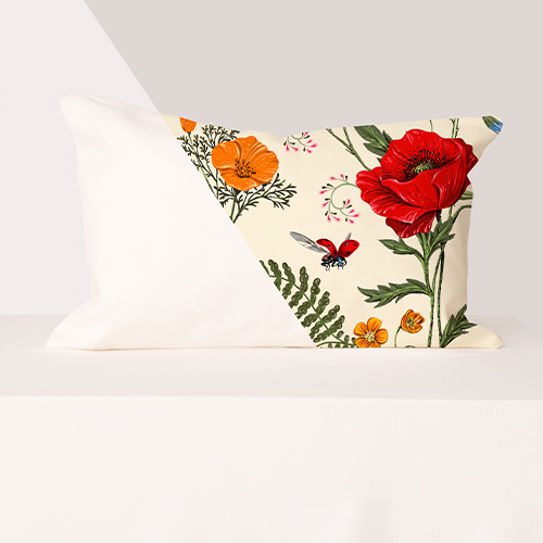 Picture of Velveteen Cushion Covers