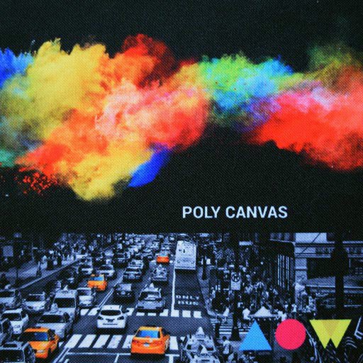 poly canvas