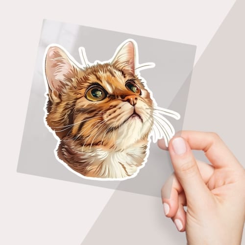 Picture of custom printed Permanent Sticker