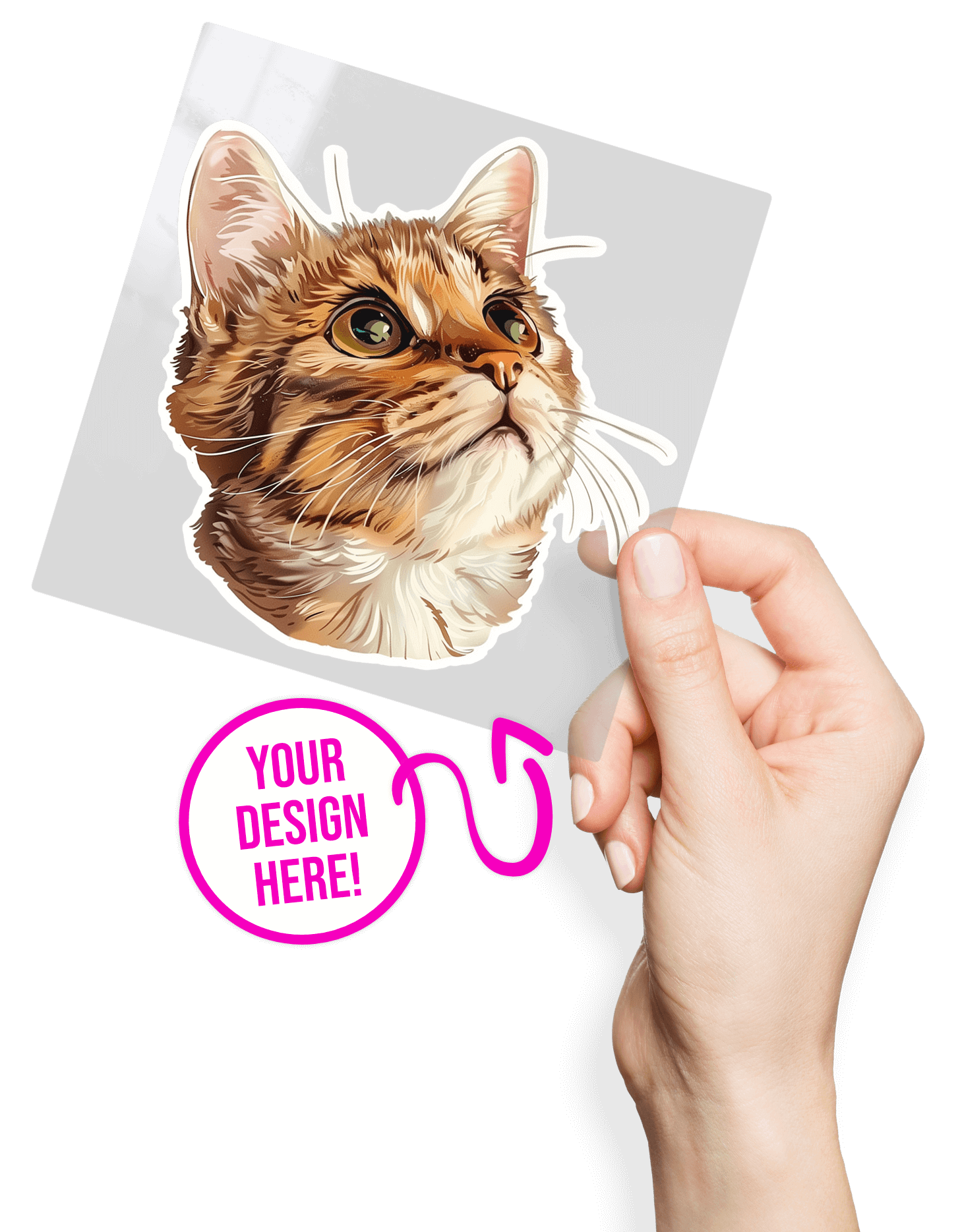 Picture of Permanent Stickers