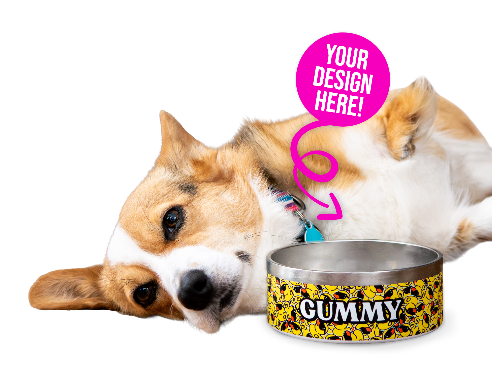 Picture of Pet Bowls